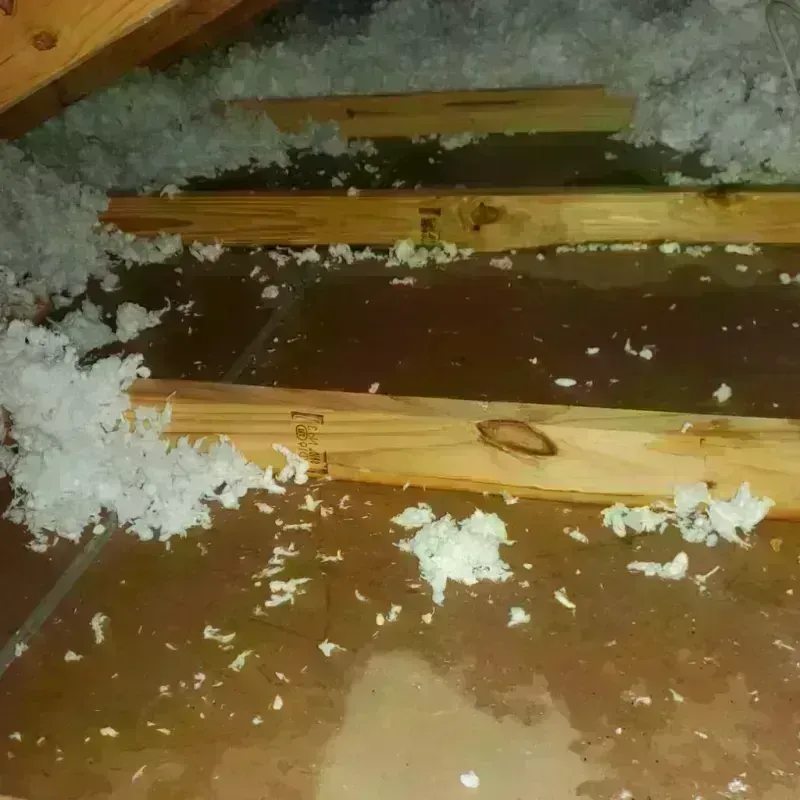 Attic Water Damage in Springfield, TN