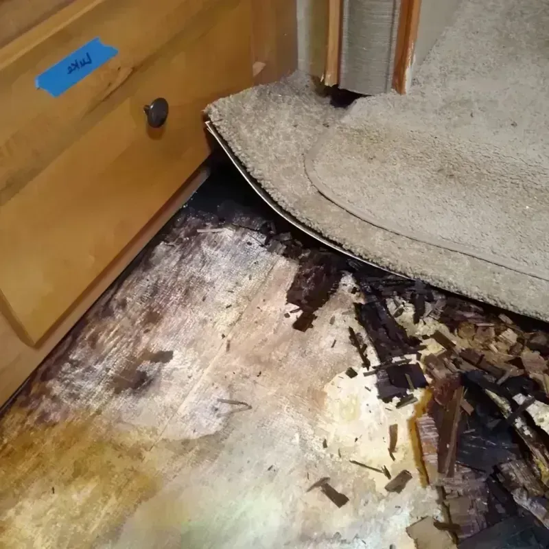 Wood Floor Water Damage in Springfield, TN